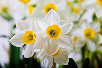 玩游戏还能赚钱？ 《inZOI(云族裔)》举办全球创作者大赛